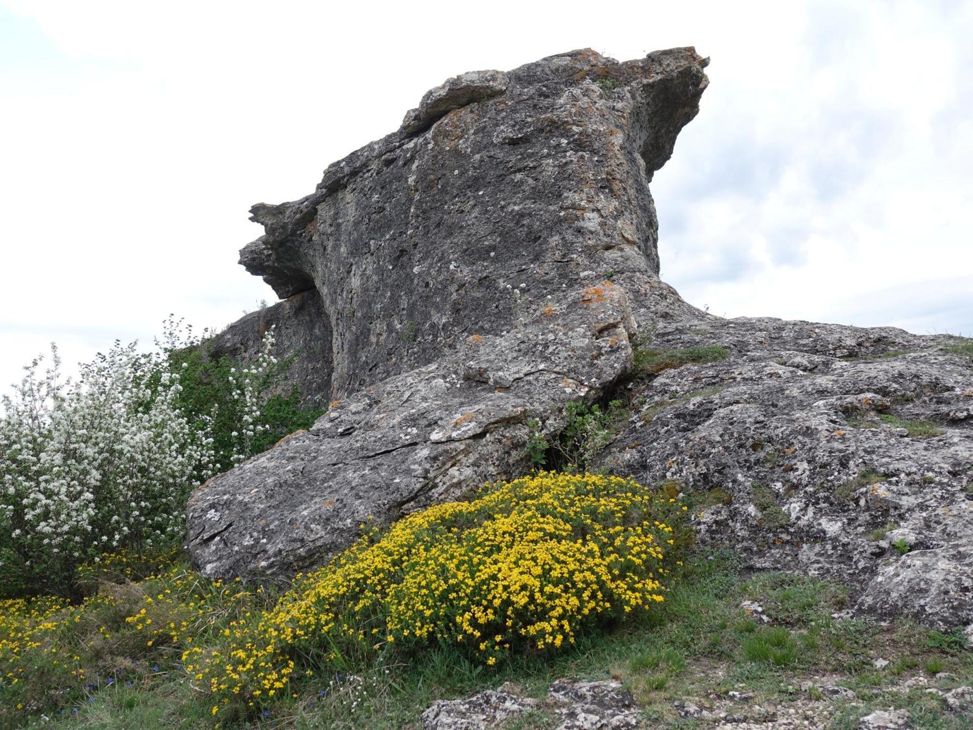 Casas Rurales El Mayorazgo Cordovilla de Aguilar Dış mekan fotoğraf